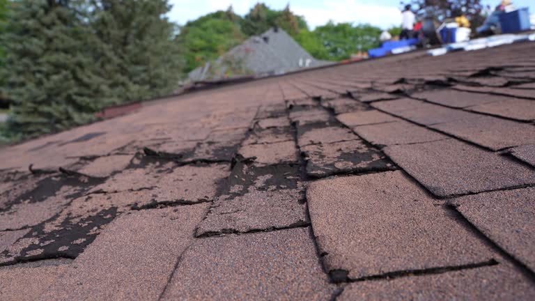 Best Steel Roofing  in Winlock, WA