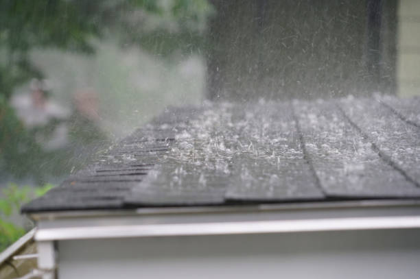 Best Gutter Installation and Repair  in Winlock, WA