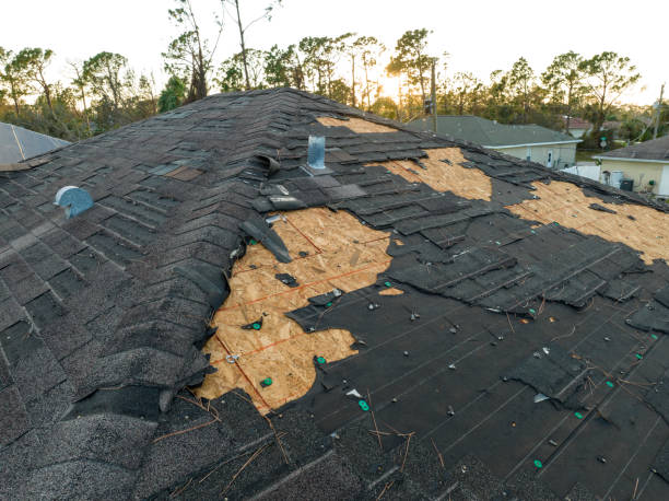 Best Asphalt Shingles Roofing  in Winlock, WA